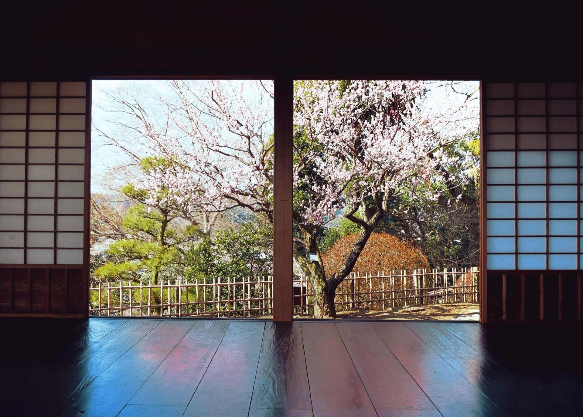 偕楽園好文亭から望む梅の庭園